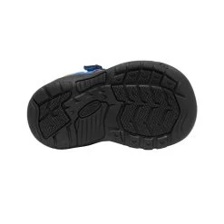 Keen Toddlers' Newport H2SHO | Multi/Bright Cobalt -Shoe Sale Store 0f9ee6253f57862281132f6947140b18015f43b1