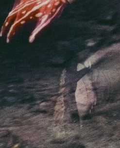 Keen Women's Jasper Rocks Sneaker X Hiking Patrol | Cuban Beige -Shoe Sale Store KEEN W 1028832 HikingPatrolxJasperRocks Lifestyle PDP Single Left