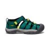 Keen Big Kids' Newport H2 | Aventurine/Evening Primrose